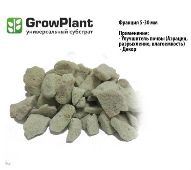 GrowPlant