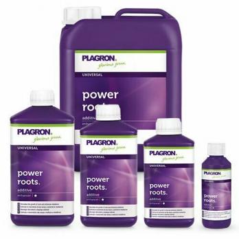 Plagron Power Roots 1 л